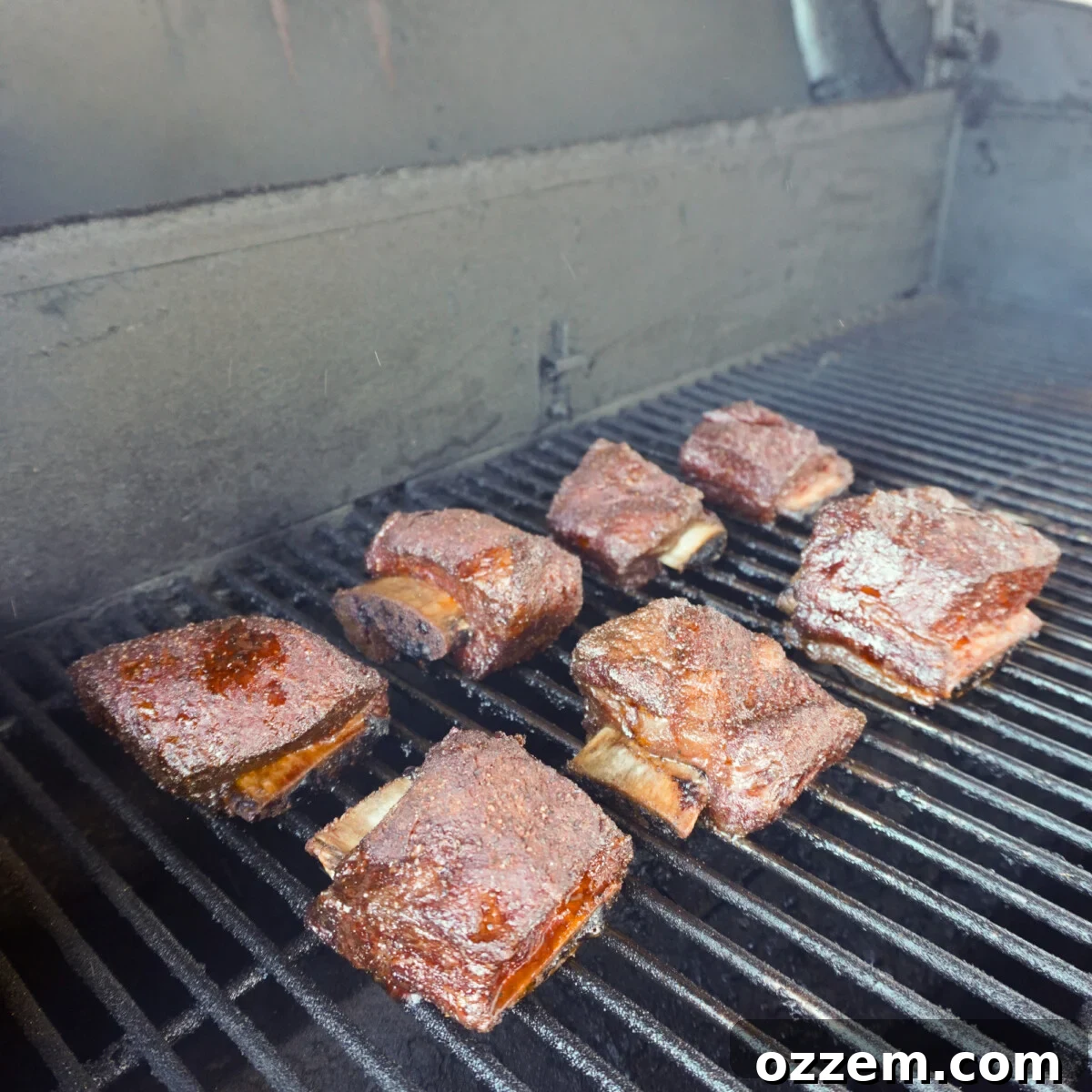 Velvet Smoke Ribs 8 Beef short ribs expertly arranged on a smoker grate, absorbing the rich smoky flavor during the initial cook.