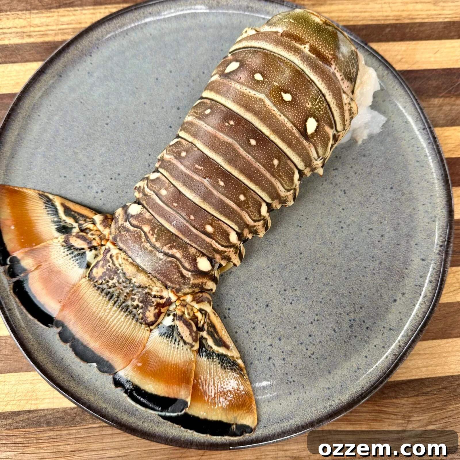 Butterfly Lobster Tail Preparation