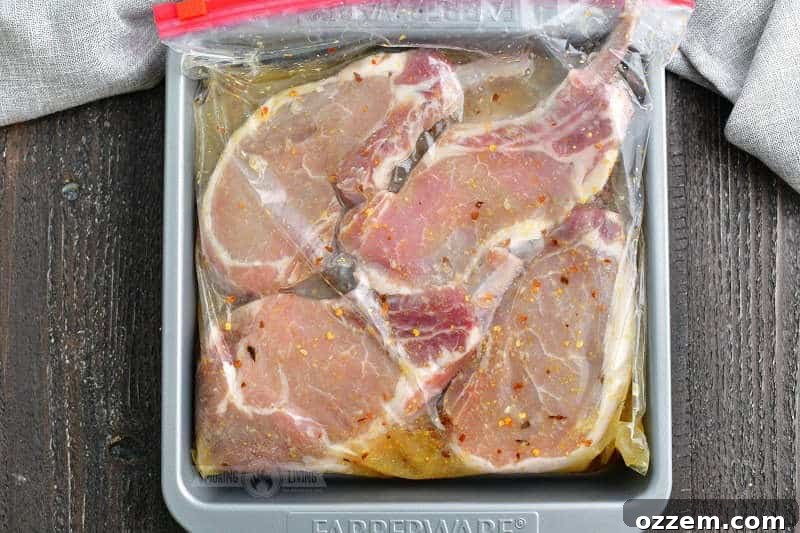 Four bone-in pork chops soaking in a yellowish marinade inside a clear zip-top bag, placed within a metal baking pan.