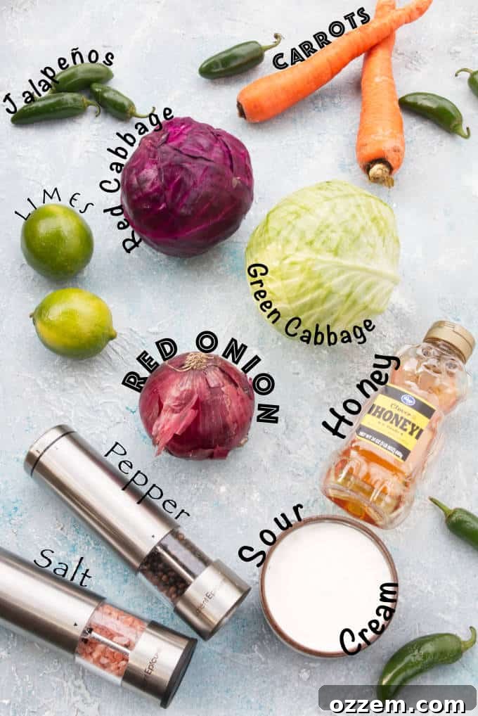 ingredients for slaw for tilapia fish tacos: jalapeños, red cabbage, green cabbage, red onion, pepper, salt, sour cream, honey, carrots, limes