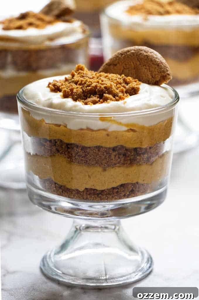 Effortless Pumpkin Cheesecake Parfait 2 A dish of no-bake pumpkin cheesecake parfait with a gingersnap cookie on top, garnished with a sprinkle of cinnamon, ready to be served.