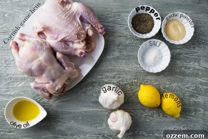 Perfectly Smoked Traeger Cornish Game Hens 4 A collection of fresh ingredients, including Cornish game hens, lemons, garlic, and spices, laid out for preparing Traeger smoked Cornish game hens.