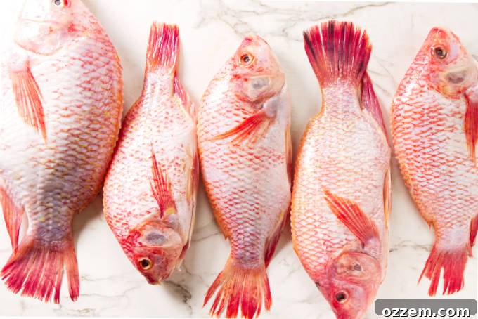 Five whole tilapia, meticulously cleaned and scaled, ready for preparation.