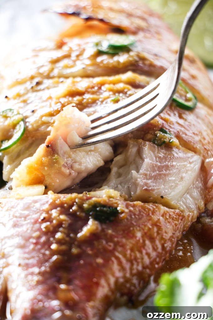 A fork gently flakes off a succulent piece of perfectly grilled tilapia, revealing its tender, moist interior.