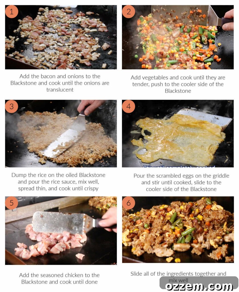 process photos for blackstone chicken fried rice