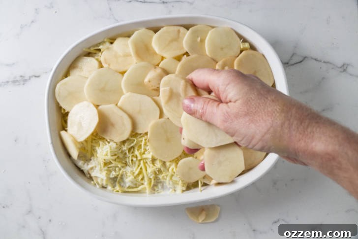 Thinly sliced potatoes forming the first layer in a casserole dish.