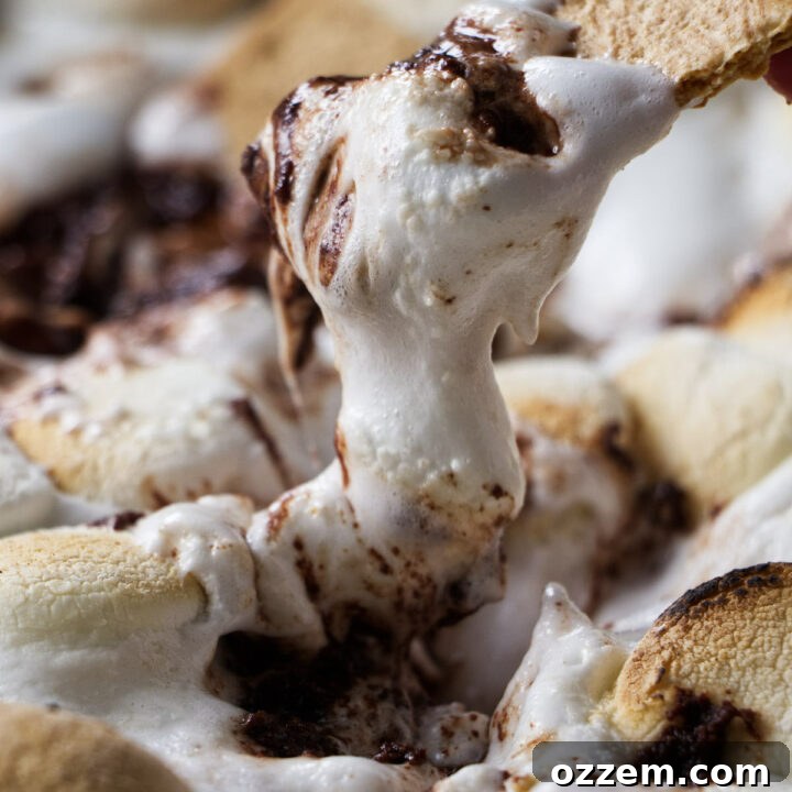 Dipping a graham cracker into s'mores dip.