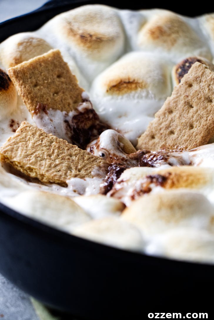 S'mores dip with Graham crackers dipped inside.