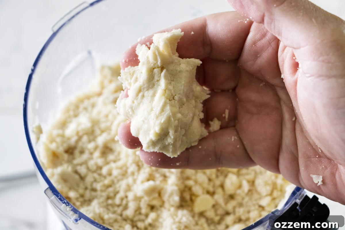 Demonstrating the 'squeeze test' to check if pie dough holds together, indicating it's ready to be formed.
