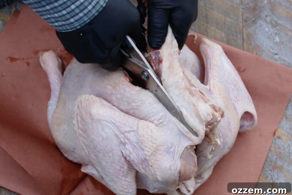 cutting backbone from turkey