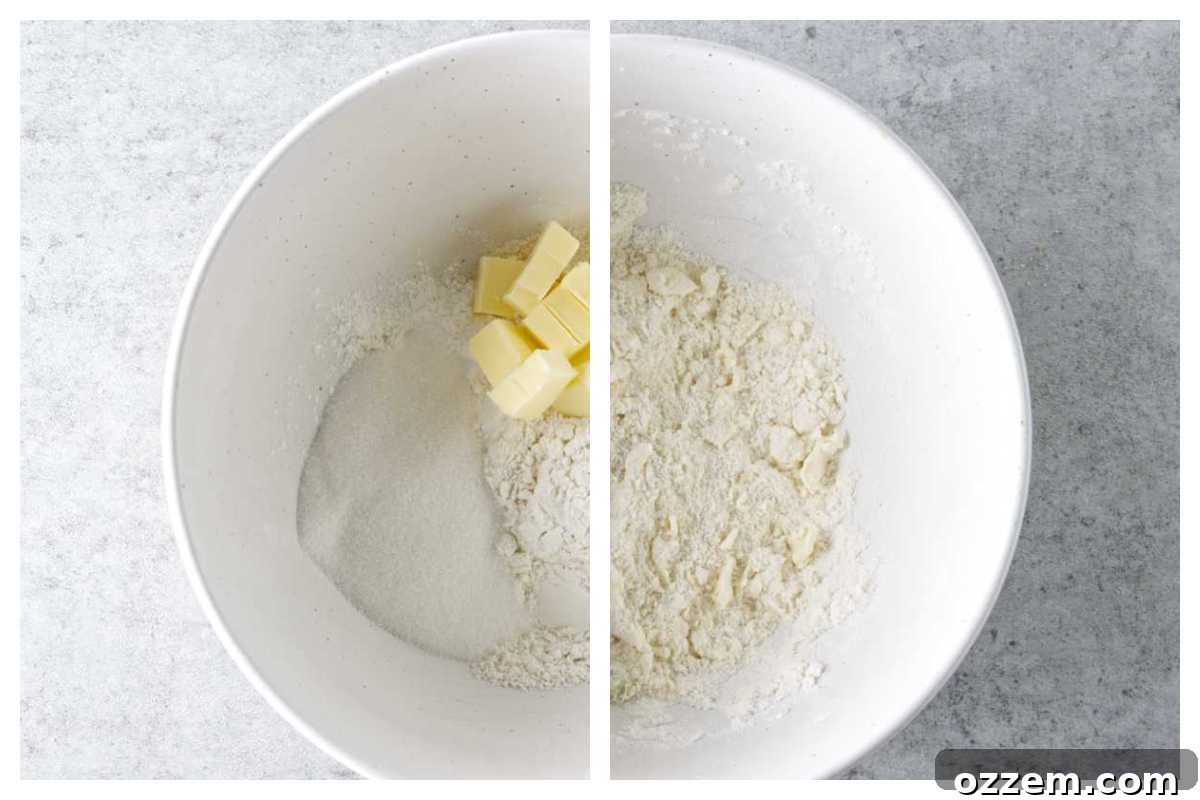 dry ingredients in a mixing bowl for the biscuit topping of a cobbler