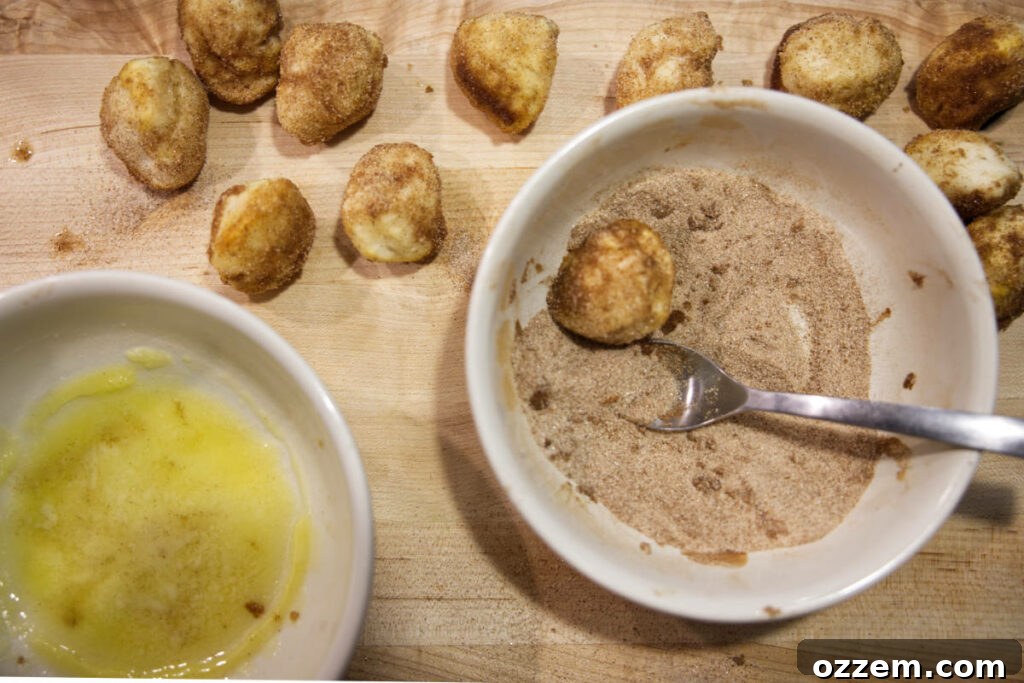 Golden Air Fryer Doughnut Bites 12 dipping air fryer donut holes in cinnamon sugar