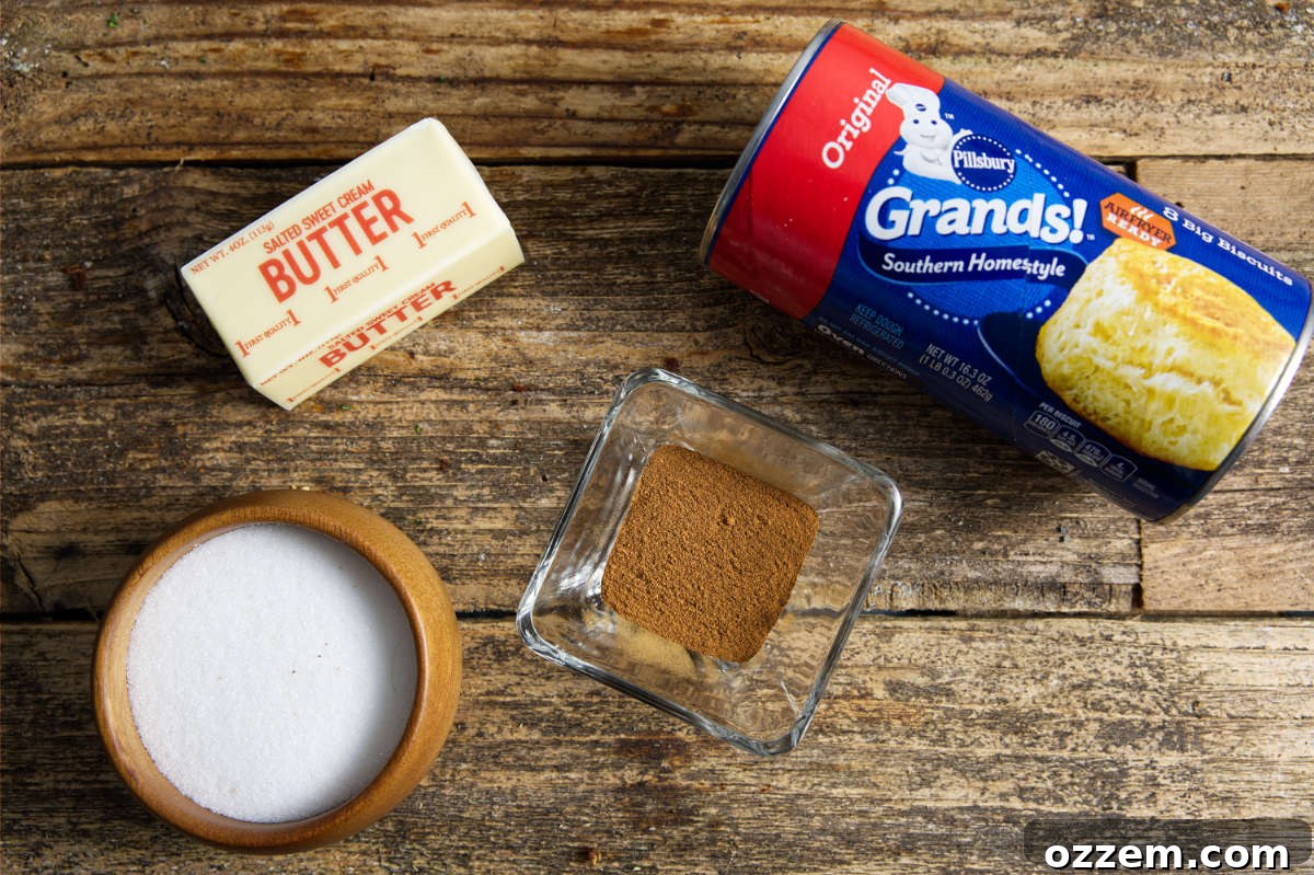 Golden Air Fryer Doughnut Bites 4 ingredients for air fryer donut holes from biscuits