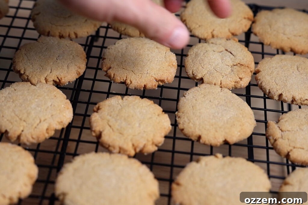 Freshly air-fried peanut butter cookies cooling on a wire rack, allowing them to set and reach their perfect chewy consistency.