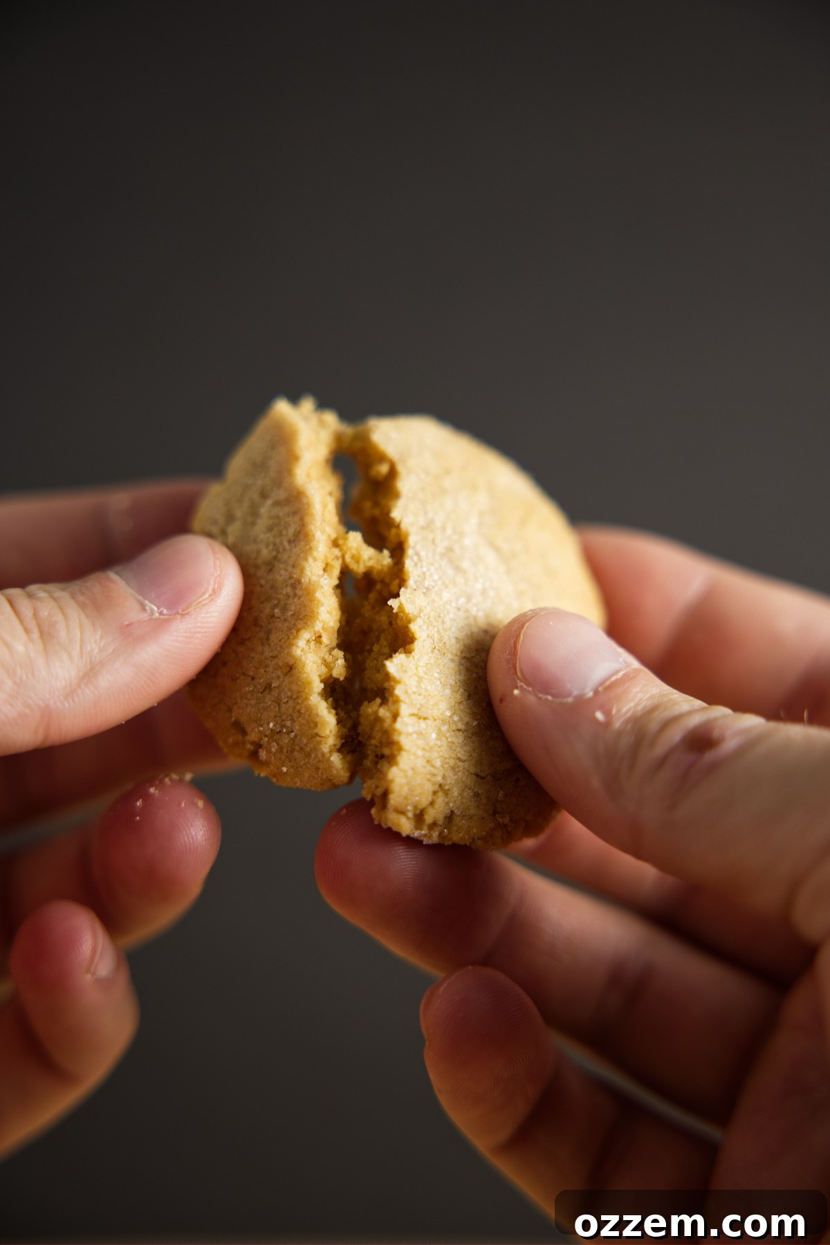 A perfectly baked air fryer peanut butter cookie being gently broken in half, revealing its moist, tender interior and inviting texture.