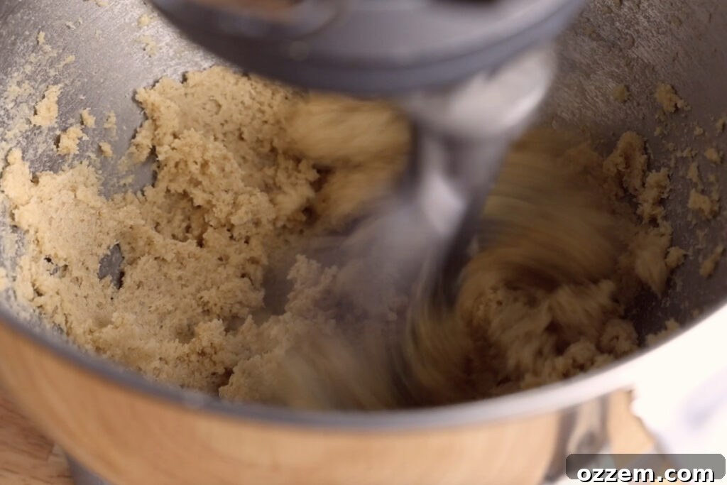 Softened butter and sugars being creamed together in a stand mixer, demonstrating the first step of cookie preparation.