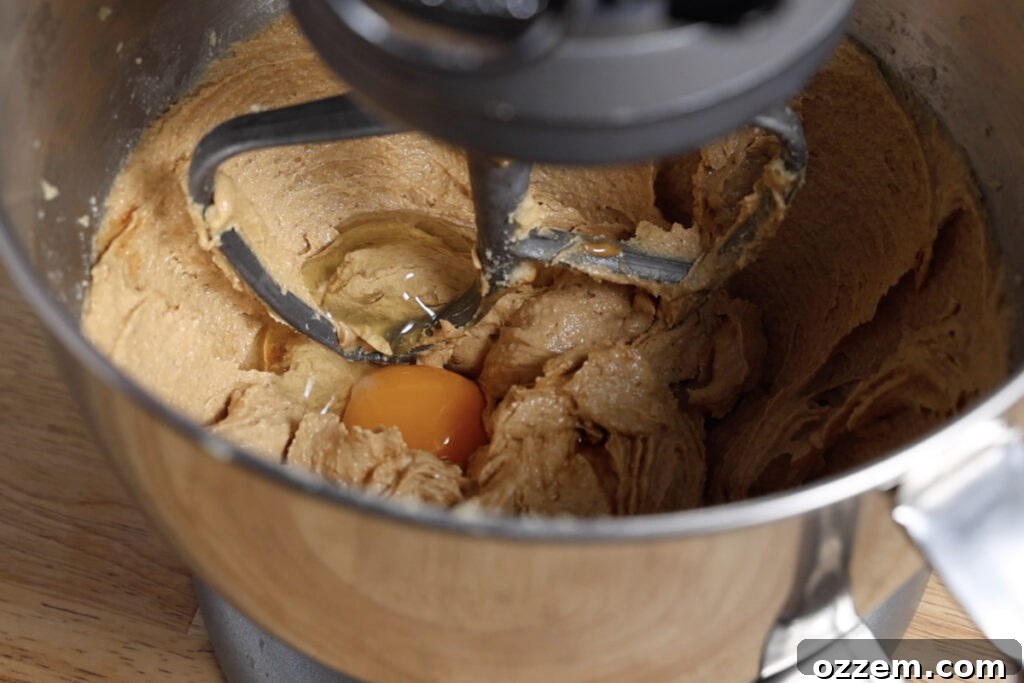 An egg and vanilla extract being thoroughly mixed into the evolving cookie dough mixture in a stand mixer, creating a smooth consistency.