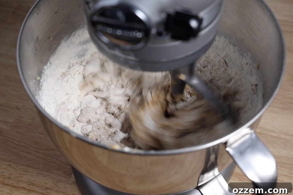 All-purpose flour, baking powder, and salt being gently folded into the wet cookie dough ingredients, ensuring even distribution.