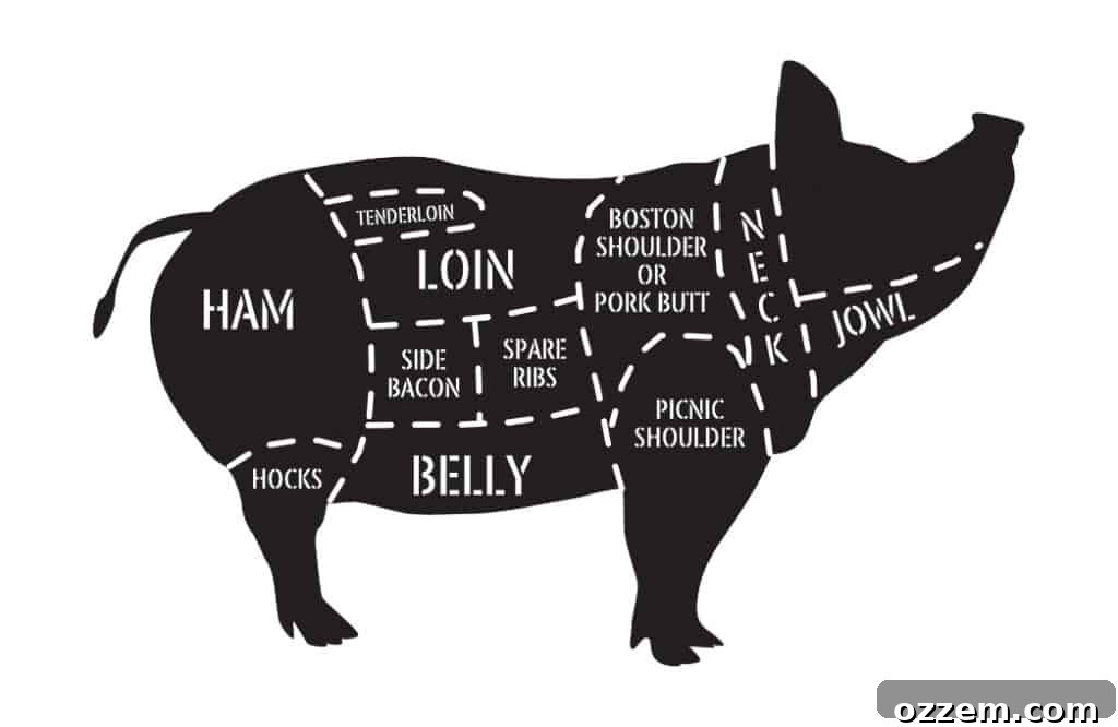 Silhouette of pig with lines depicting different cuts of meat