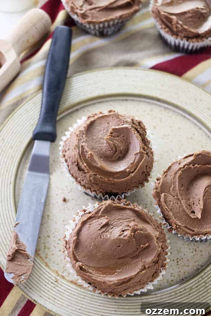 Close-up of perfectly frosted chocolate cupcakes with rich chocolate buttercream swirls on top.