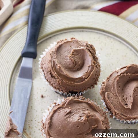 Chocolate cupcakes with chocolate buttercream swirled on top.