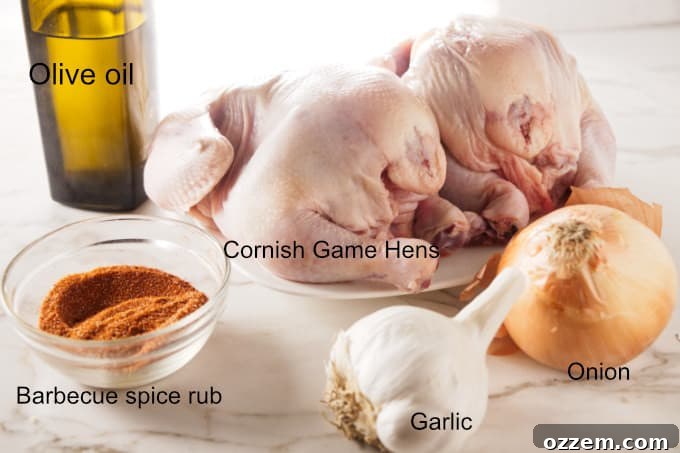 A collection of fresh ingredients laid out on a wooden surface: Cornish game hens, olive oil, a bowl of barbecue spice rub, garlic cloves, and onion wedges, all ready for the air fryer.