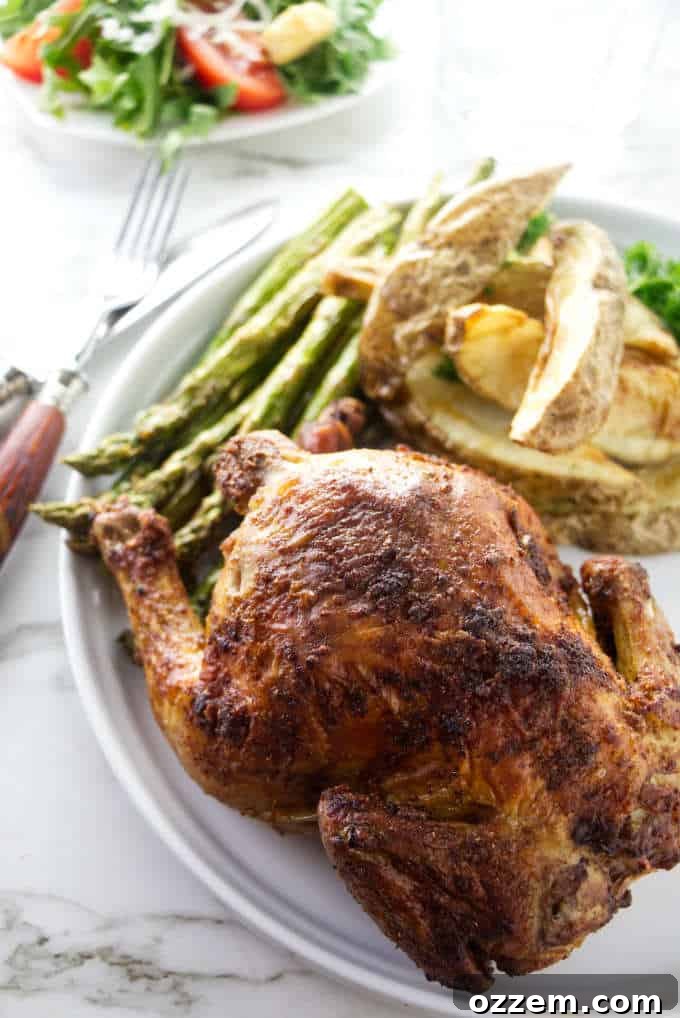 A single perfectly roasted Air Fryer Cornish game hen, golden brown and crispy, served on a white dinner plate, garnished with fresh herbs.