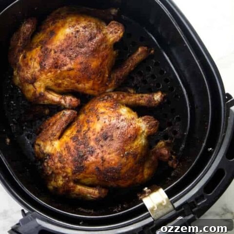 Two Cornish game hens in an Air Fryer basket, ready for cooking.
