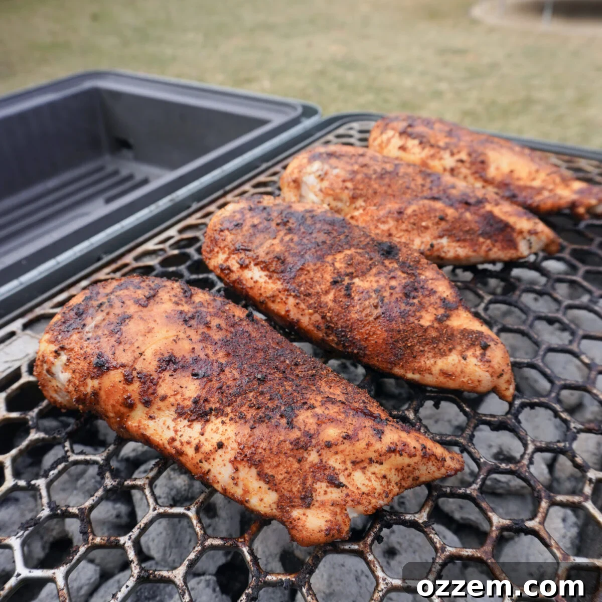 grilled chicken breast.