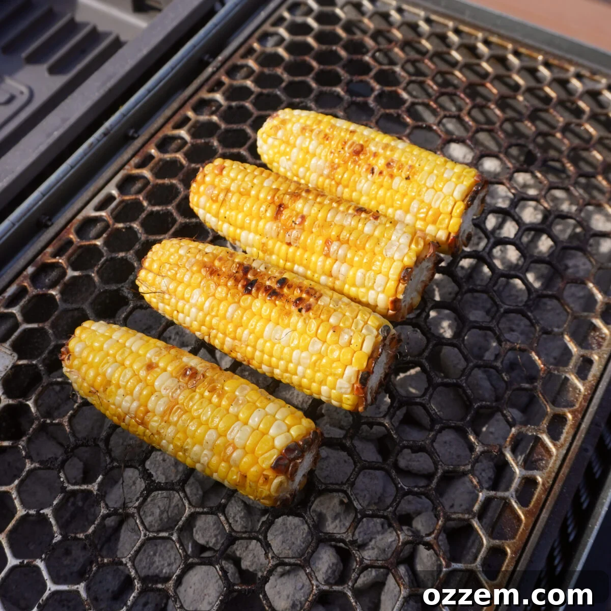 grilled corn on the cob.
