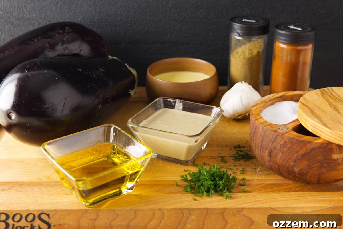 Ingredients for smoked baba ganoush laid out on a wooden surface, including whole eggplants, a head of garlic, olive oil, tahini, lemon, and fresh parsley.