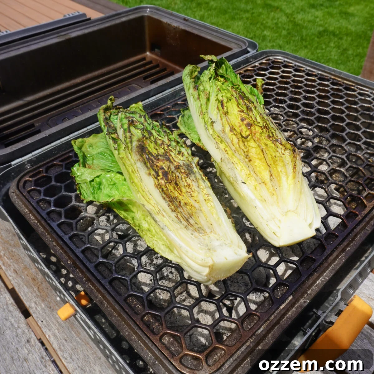 Steak Salad with Creamy Horseradish Dressing and Arugula 8 grilled romaine lettuce.