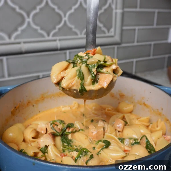 Easy Marry Me Chicken Soup on a ladle.