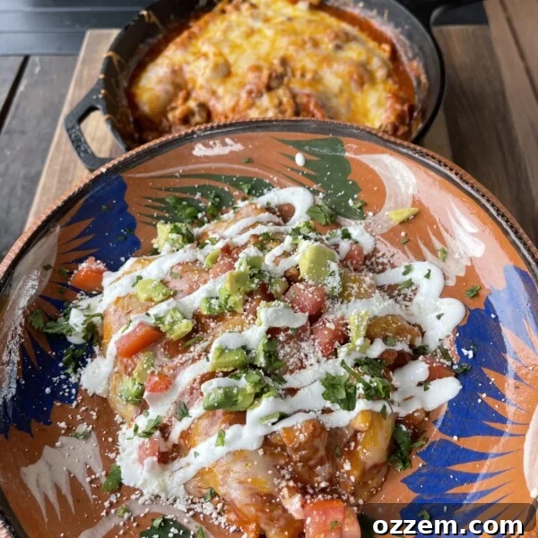 Grilled Chicken Enchiladas