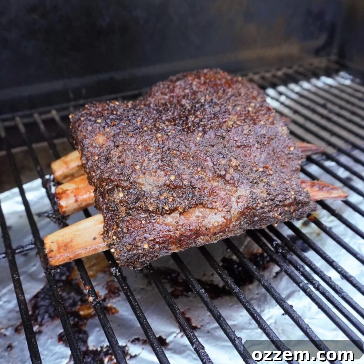 Smoked Pastrami Beef Ribs on grill.