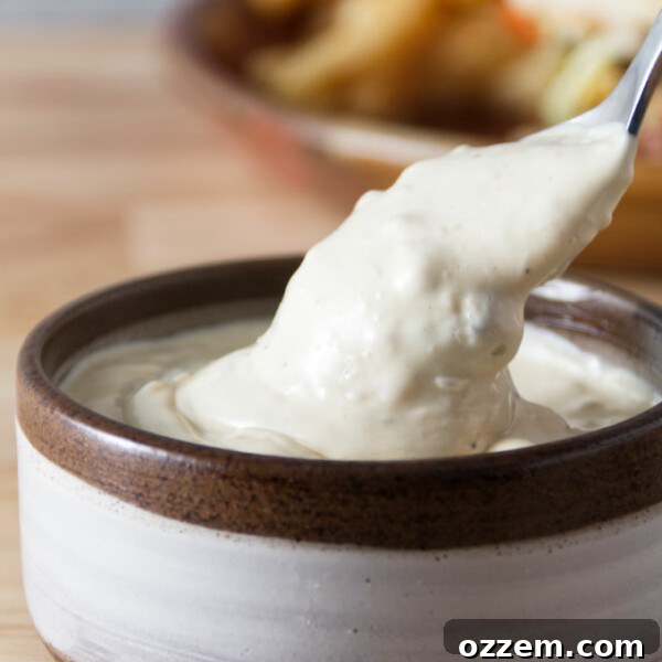 donkey sauce in a ceramic bowl with a spoon dipping in