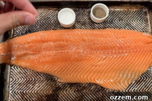 Smoky Pellet Grill Salmon Recipe 9 Seasoning a salmon fillet with salt and pepper.