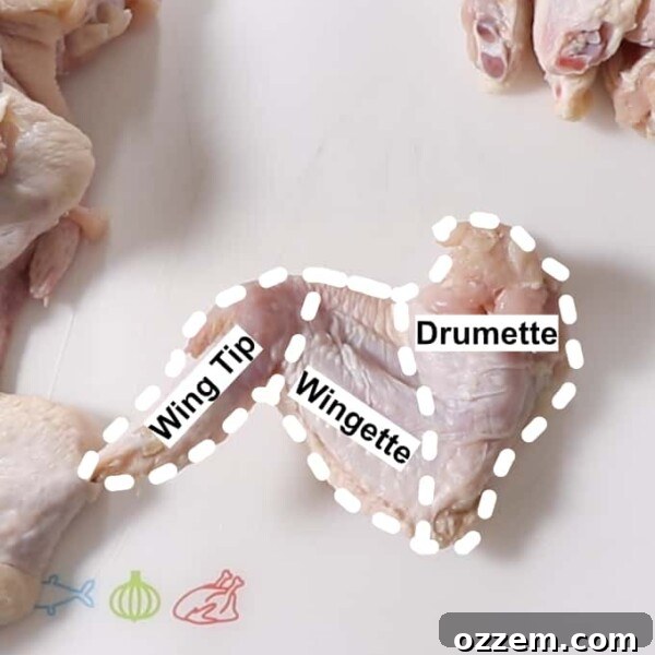 how to break down chicken wings. the whole wing is outlined showing the wingette, drumette, and wing tip separated by dotted lines showing where to cut.